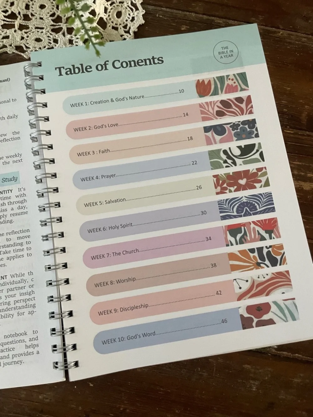 THE BIBLE IN A YEAR: A 52-WEEK JOURNEY THROUGH GOD'S WORD (SOFTCOVER)